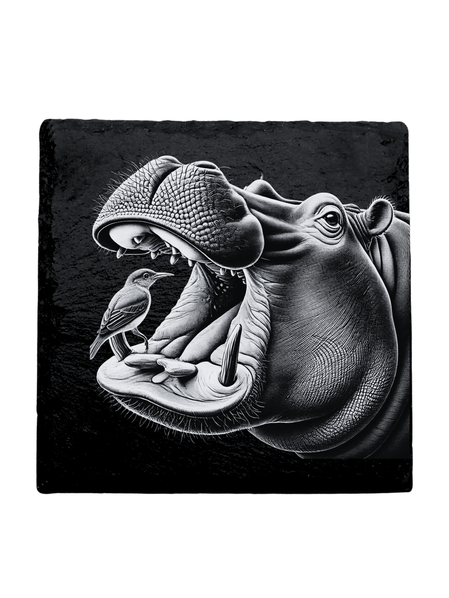 Slate Engraving - Hippo