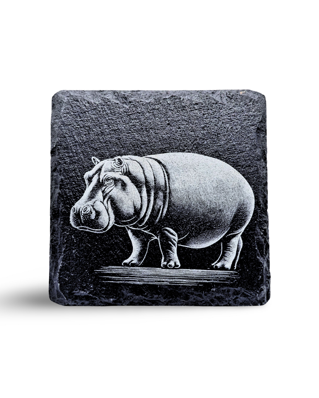 Balance and Power - Hippo Engraving