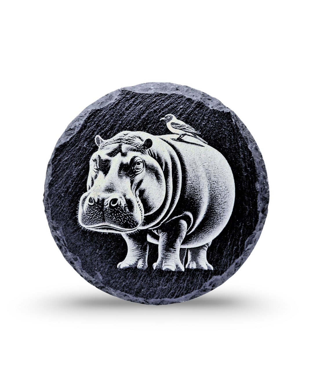 Balance and Power - Hippo Engraving