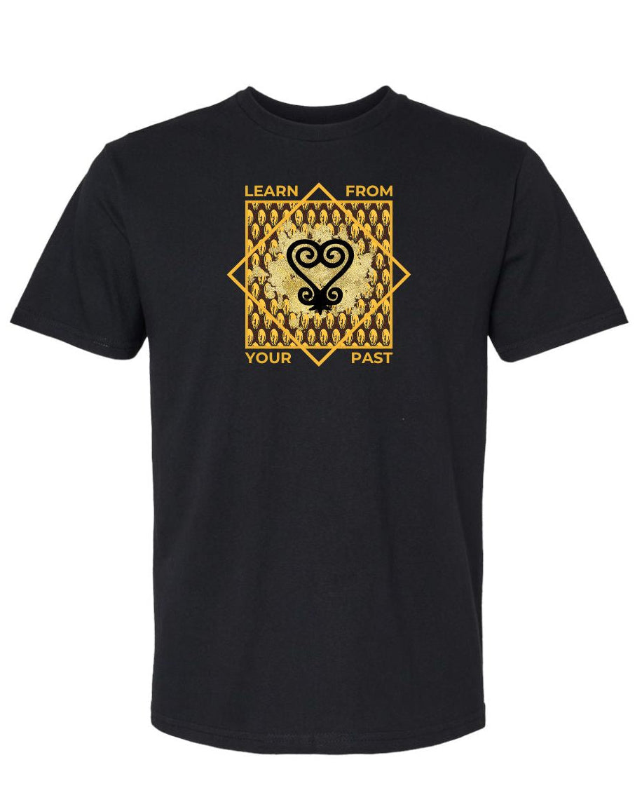 Learn from your Past