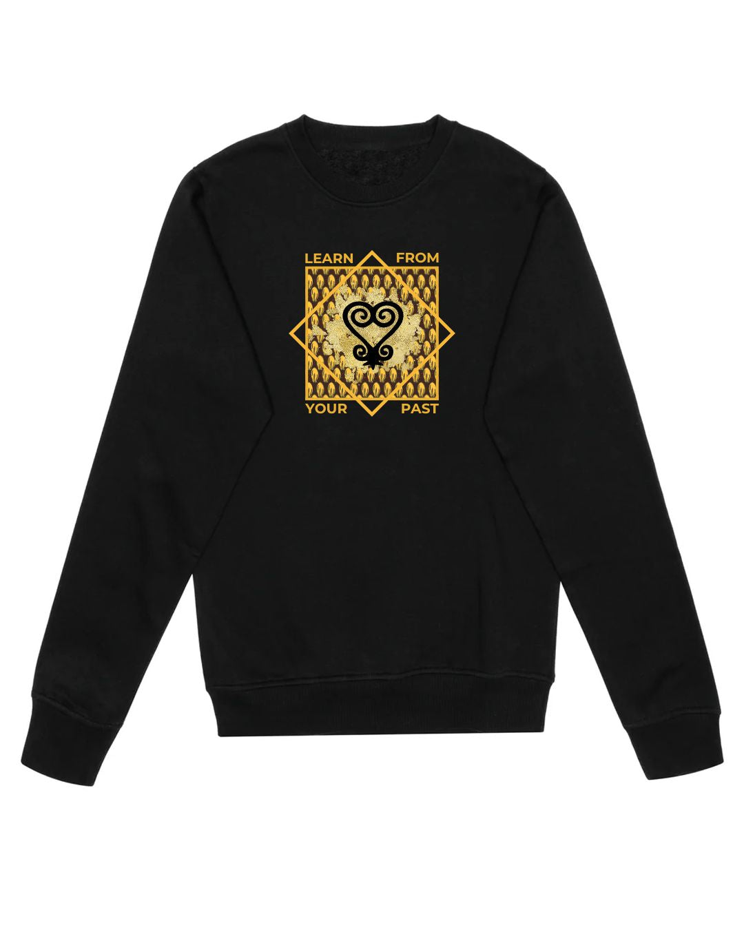 Learn from your Past