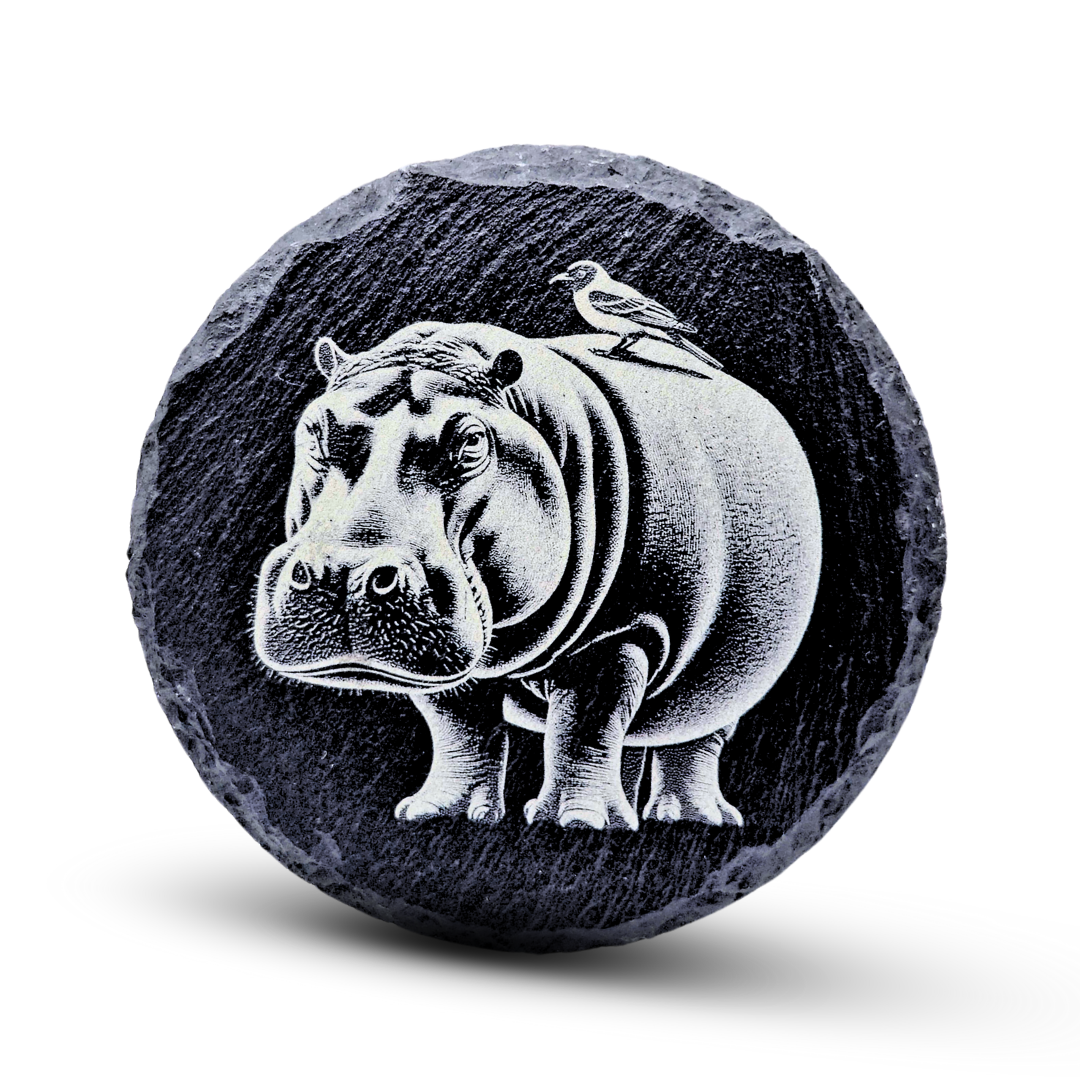 Hippo Slate Coasters
